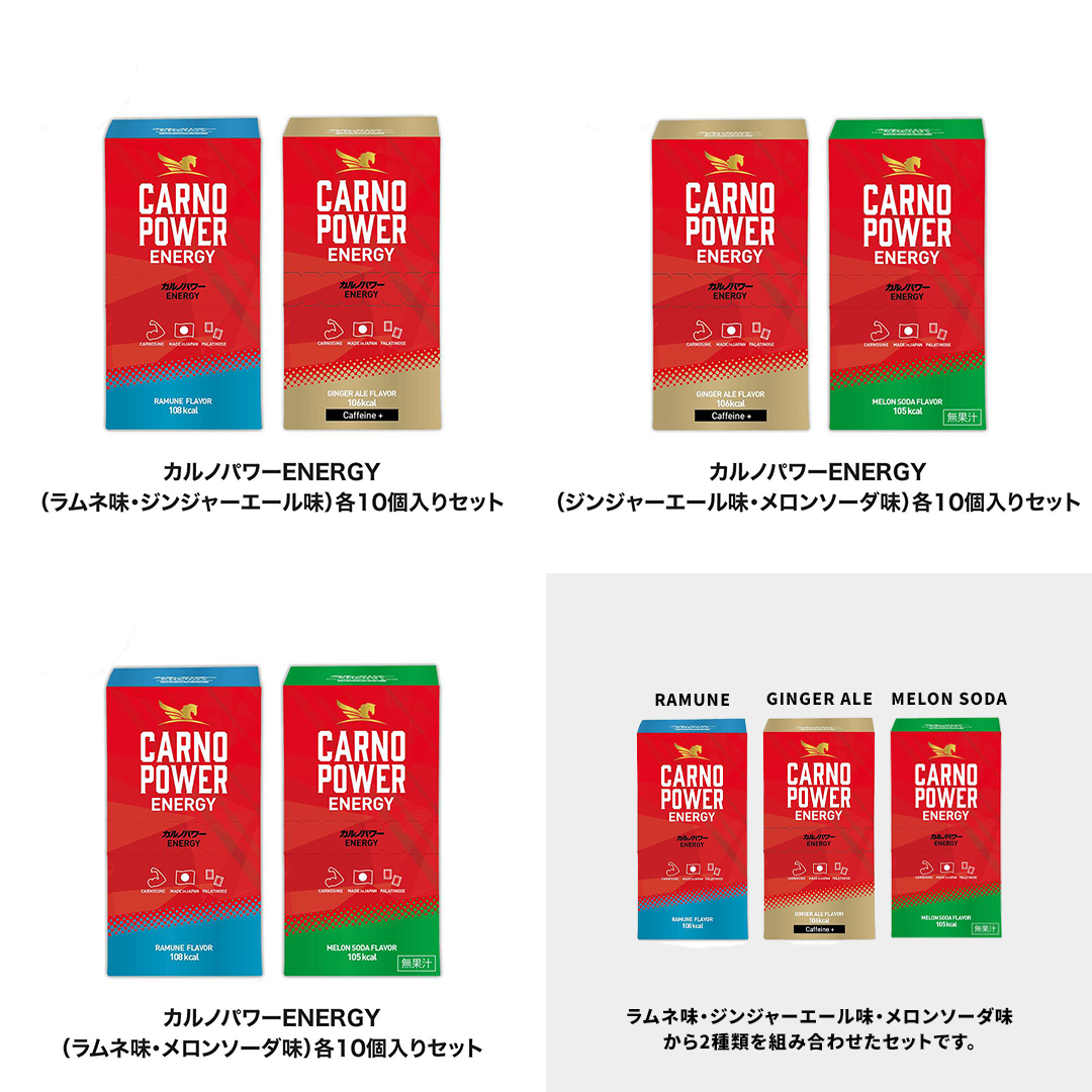 カルノパワーENERGY2箱セット（10個箱入×2）  味: ラムネ＆ジンジャーエール味