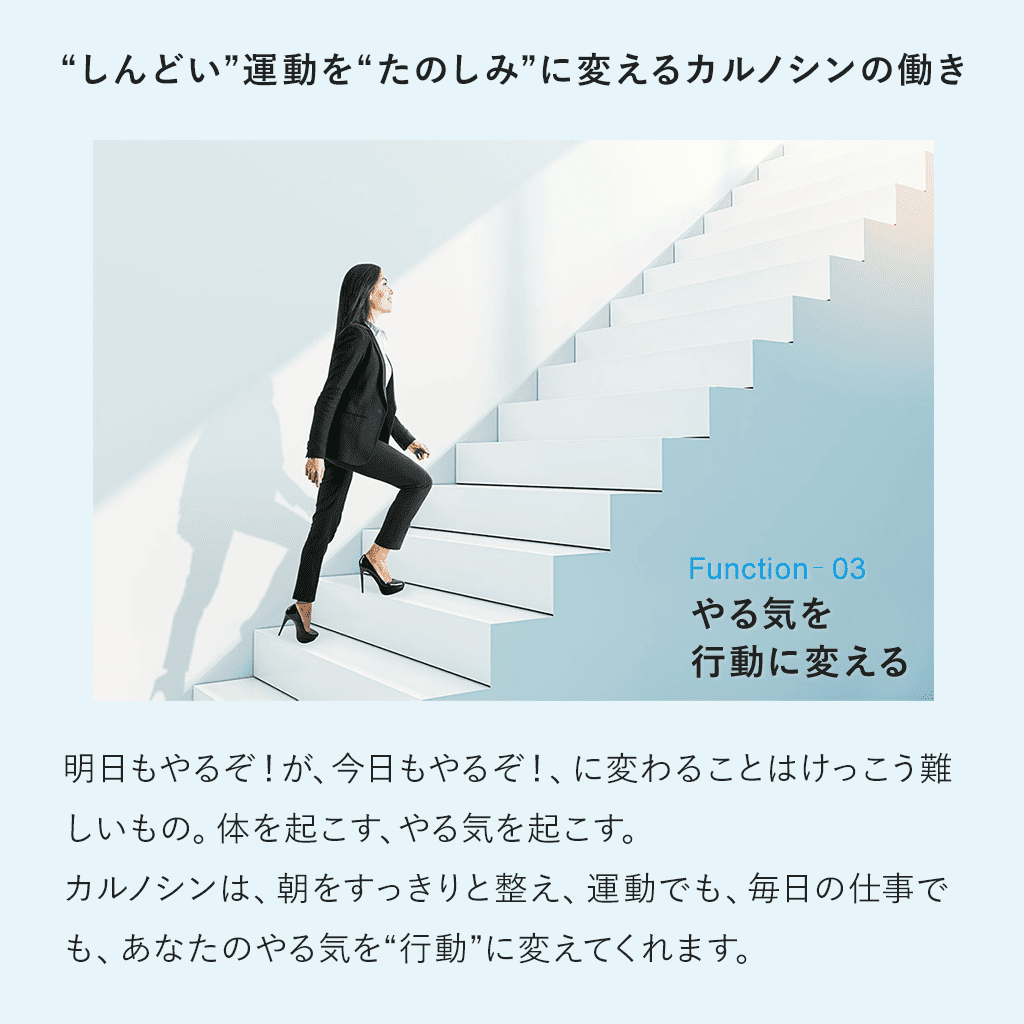 Fremore （30粒）