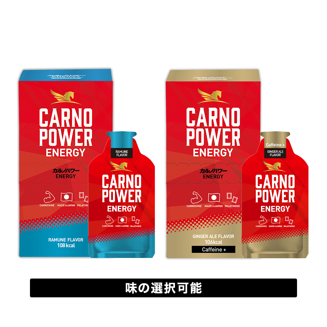 カルノパワーENERGY（10個箱入）
