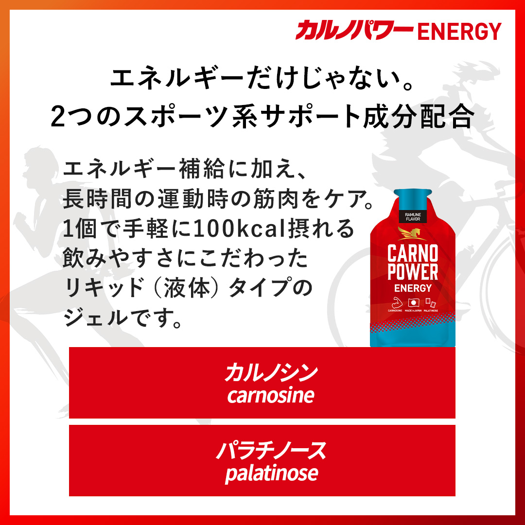 【定期】カルノパワーコンプリートセット 味: ラムネ味