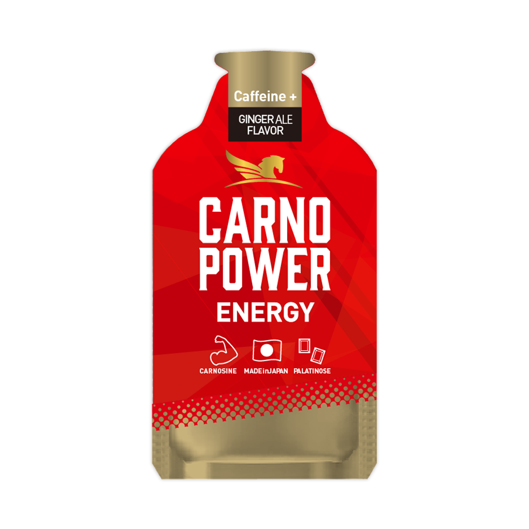 【期間限定1個増量！】カルノパワーENERGY 3個セット ※送料無料