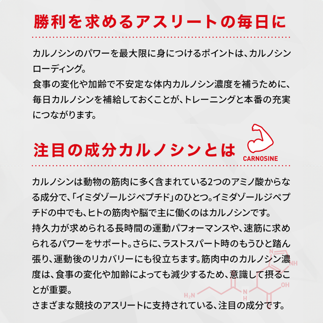 【定期】カルノパワーリチャージセット 味: ラムネ味