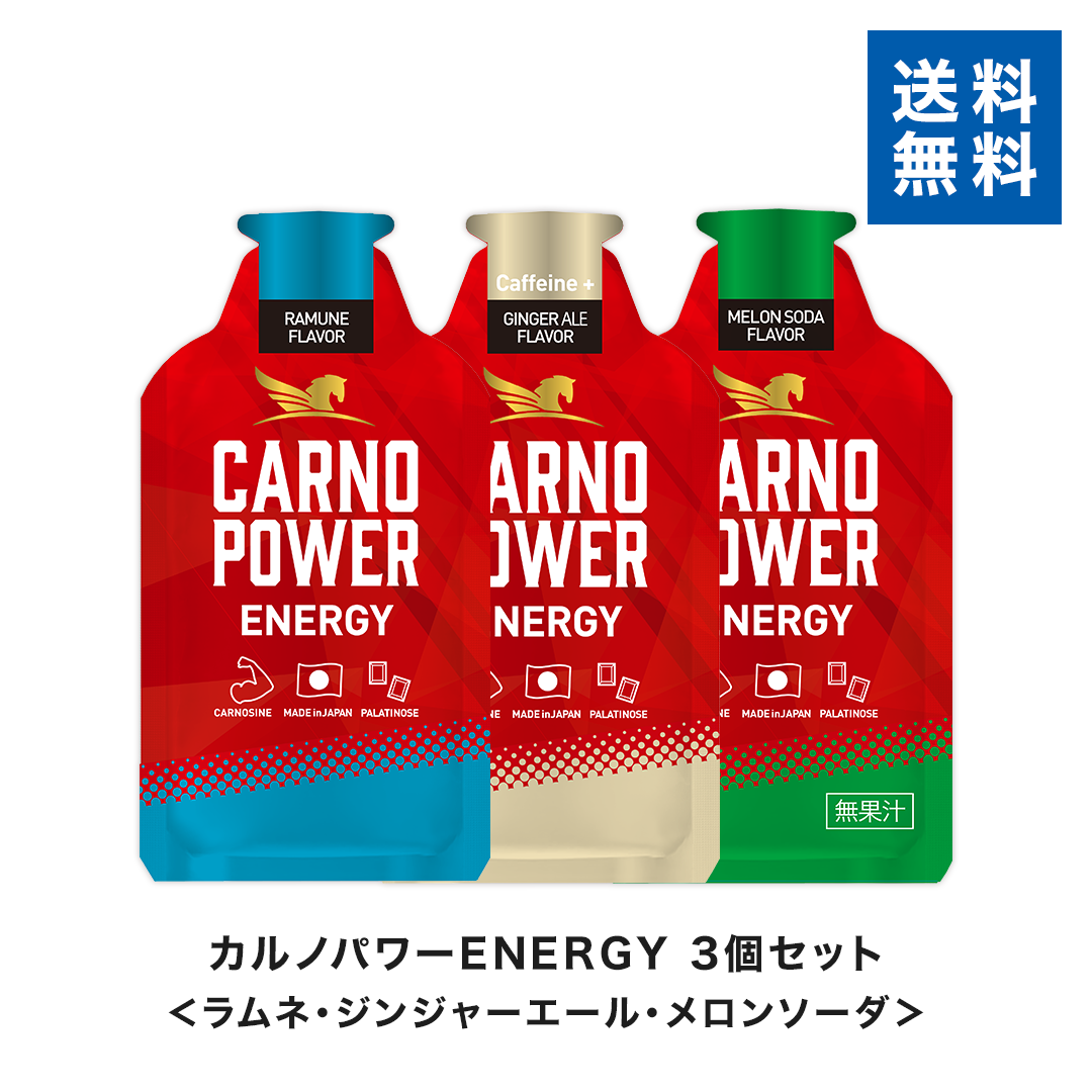 【送料無料】カルノパワーENERGY 3個セット