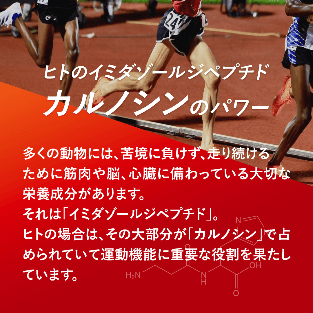 カルノパワーDAILY（120粒・錠剤）