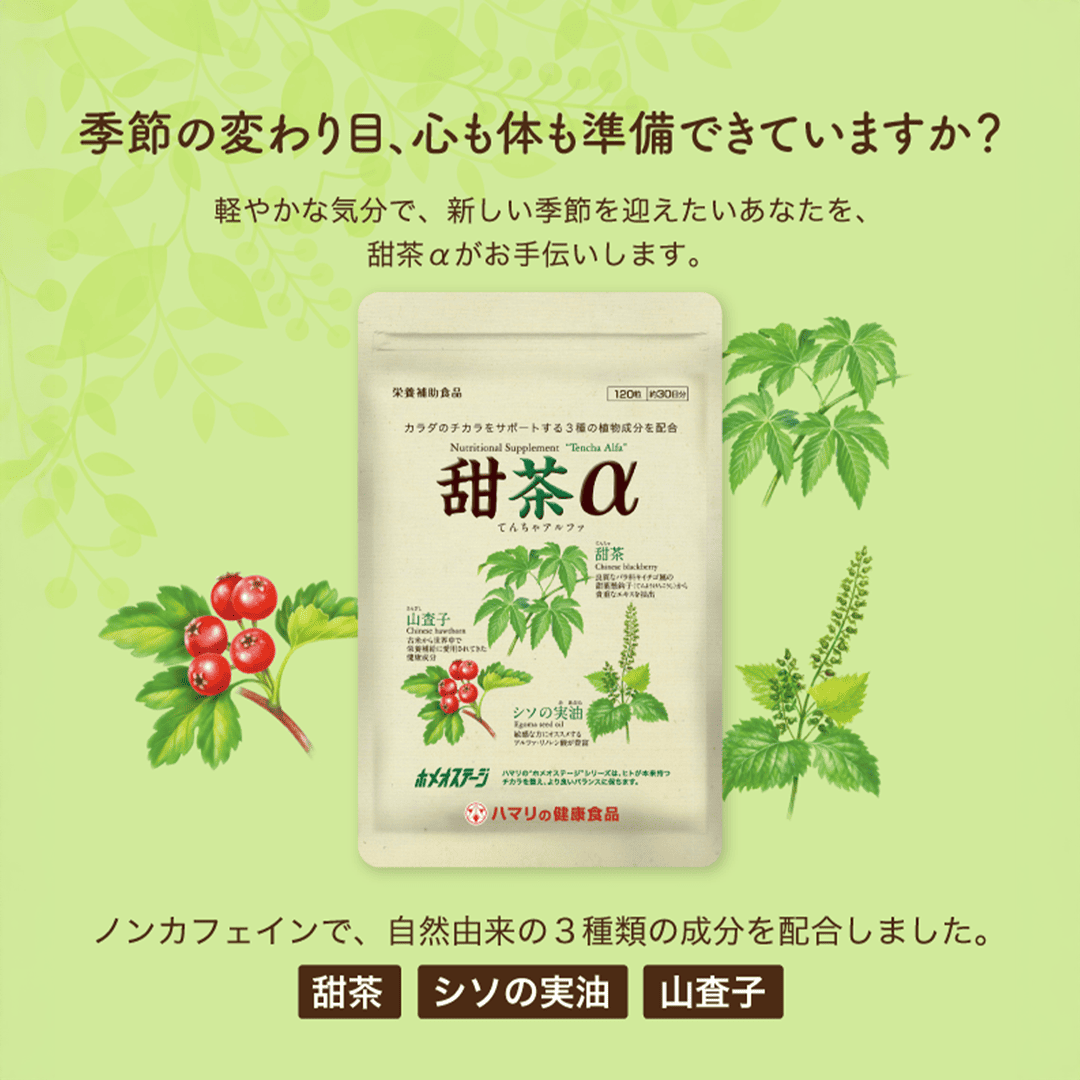 【２袋セット】甜茶α （120粒×2袋）