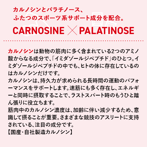【定期】カルノパワーENERGY（10個箱入） 味: ラムネ味