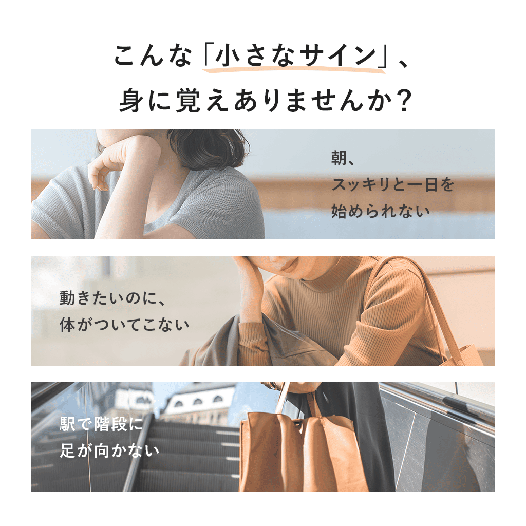 【定期】Fremore（30粒）