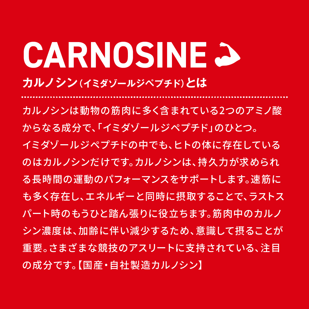 【期間限定1個増量！】カルノパワーENERGY 3個セット ※送料無料