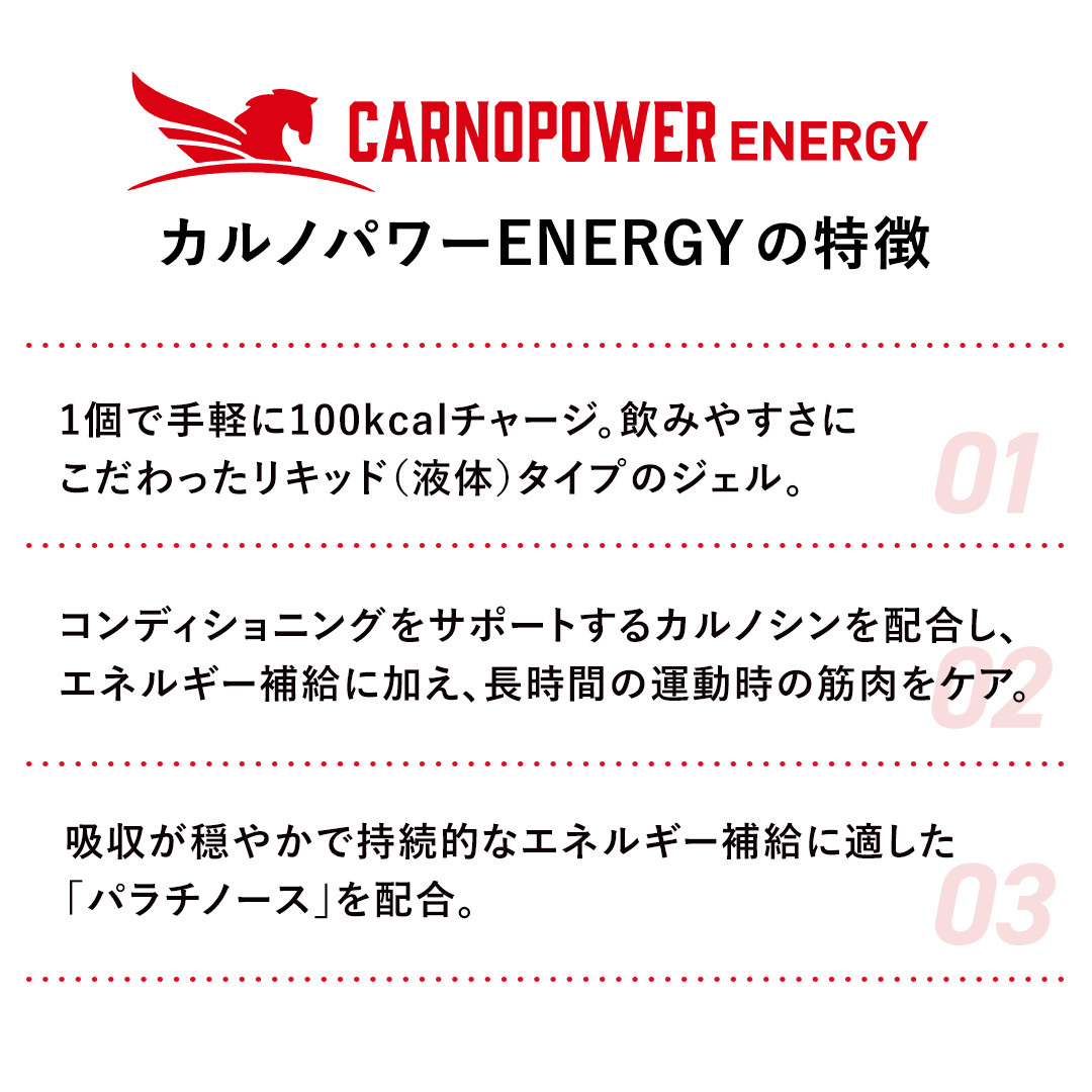 【定期】カルノパワーリチャージセット 味: ラムネ味