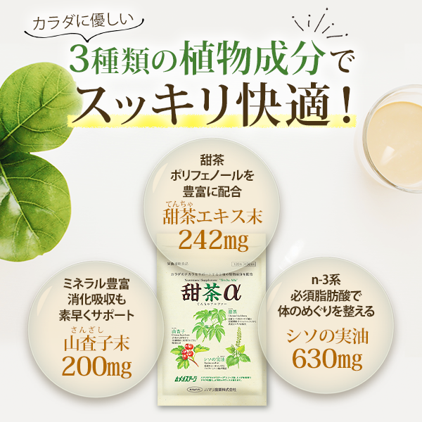 【２袋セット】甜茶α （120粒×2袋）