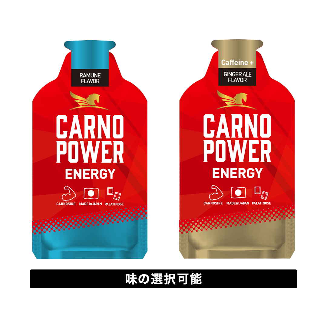 カルノパワーENERGY（1個）
