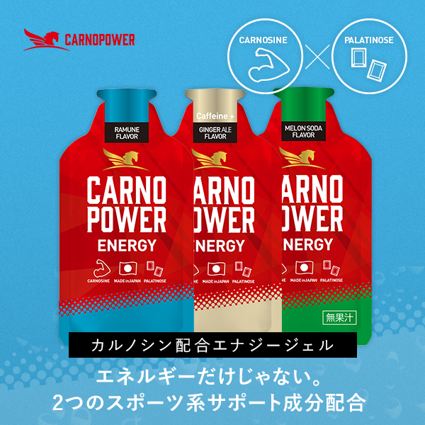 【送料無料】カルノパワーENERGY 3個セット