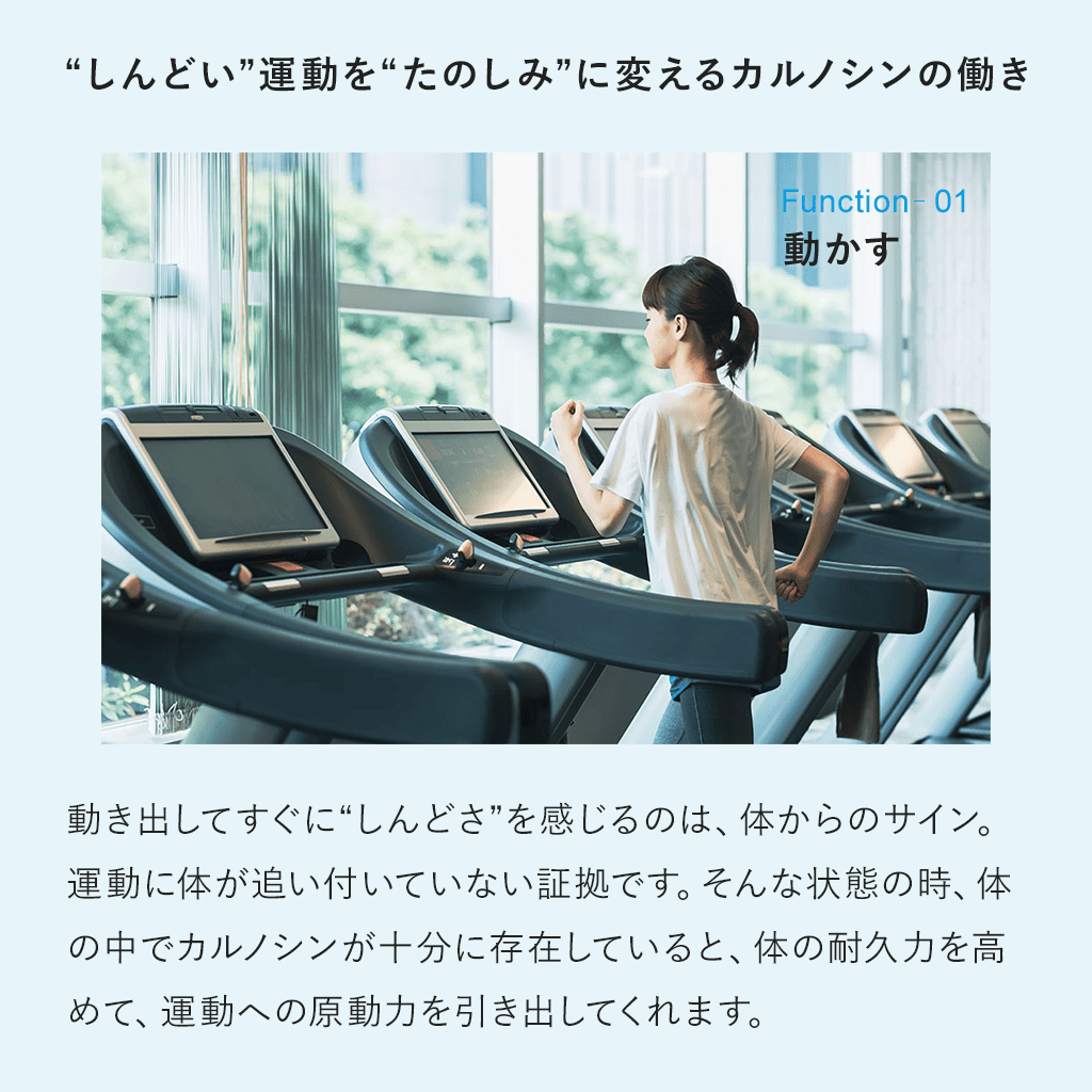 Fremore （30粒）