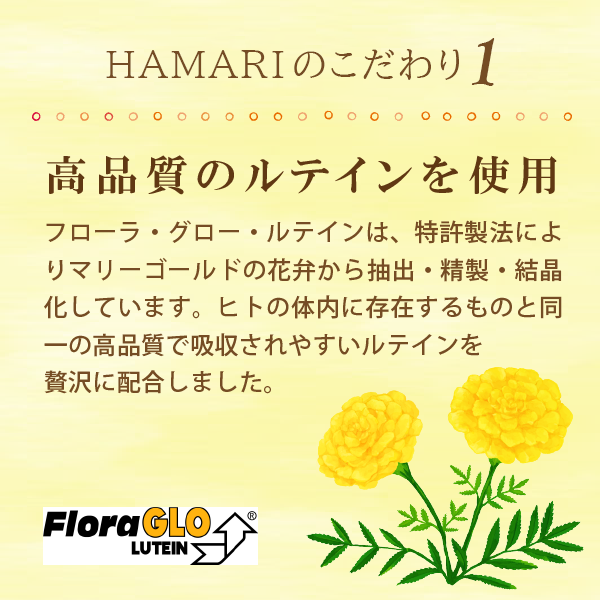 【定期】ルテイン25＆ビルベリー10（30粒）