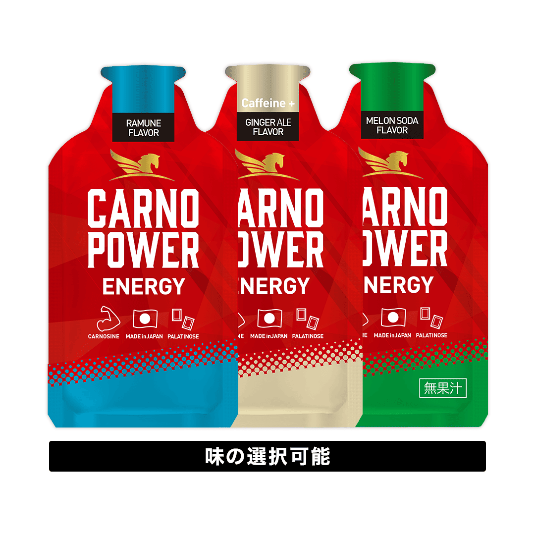 カルノパワーENERGY（1個）
