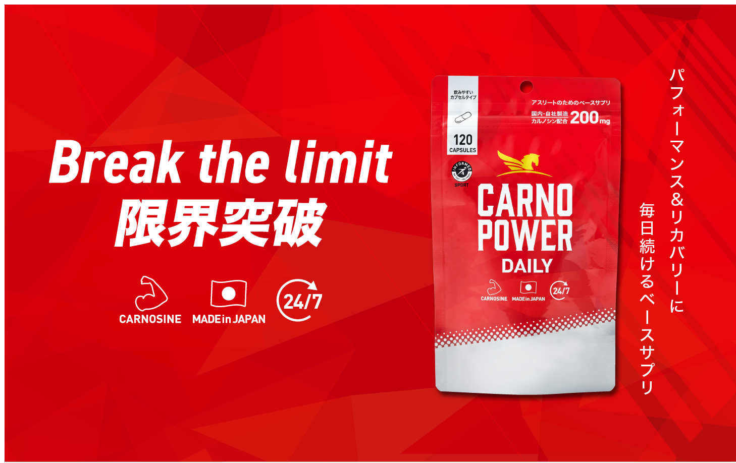 カルノパワー　360粒＋カルノパワースティック5コ カルノパワー 360粒＋カルノパワースティック5コの通販 by