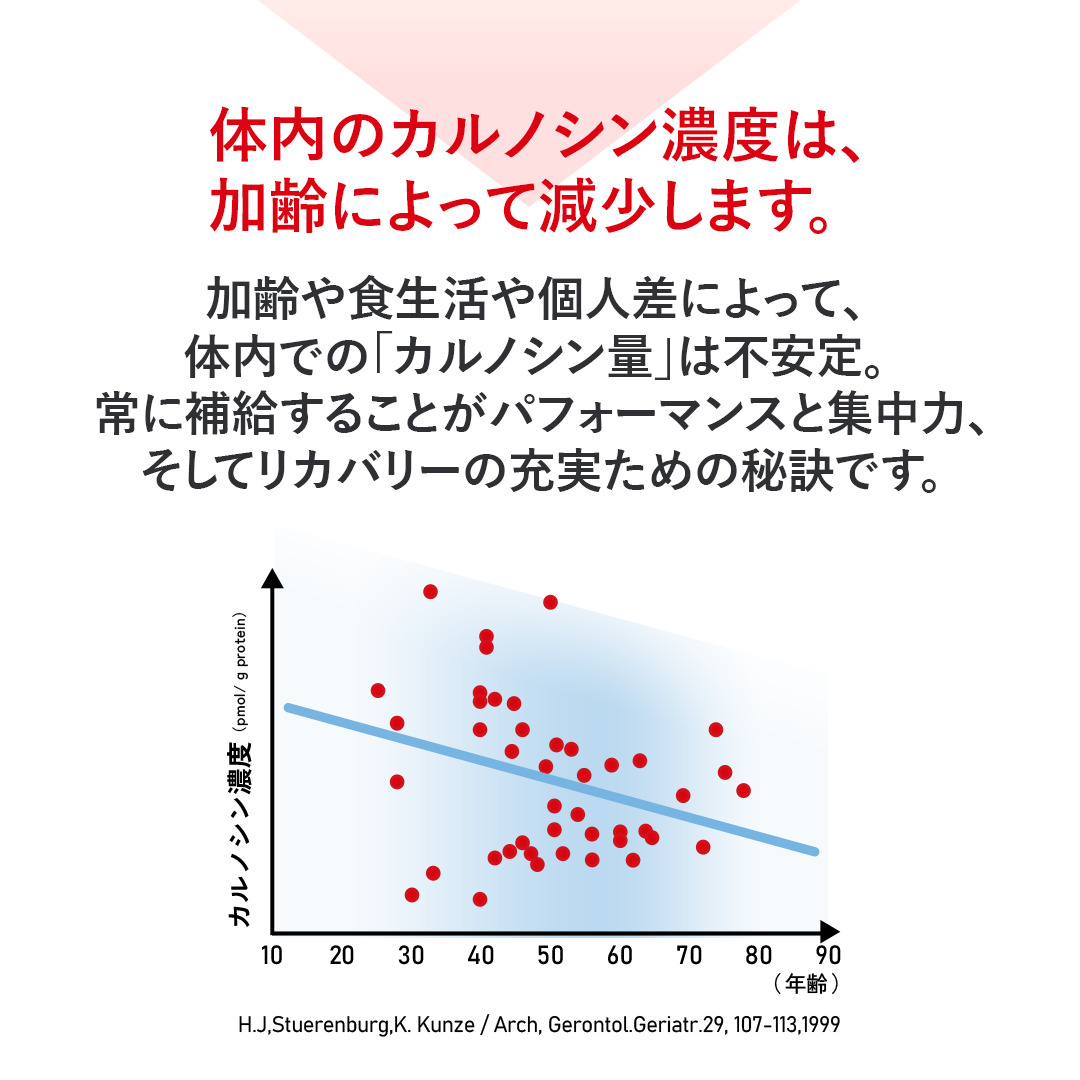 カルノパワーDAILY（120粒・錠剤）