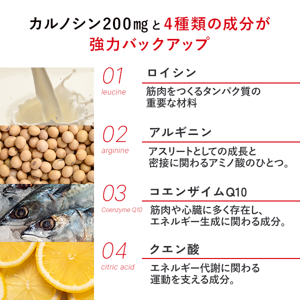 【一括割引】カルノパワーDAILY（120粒）