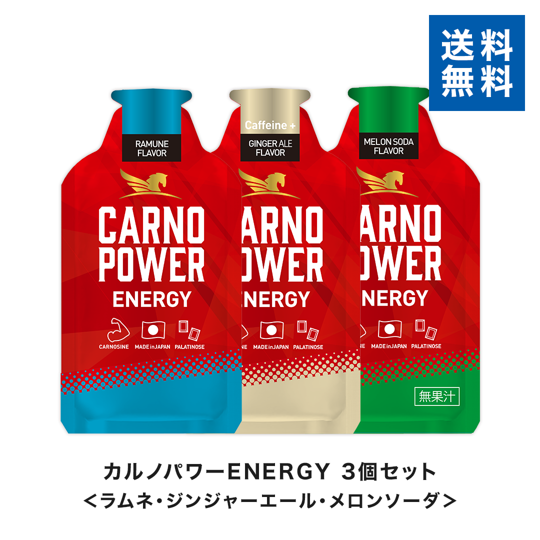 【期間限定1個増量！】カルノパワーENERGY 3個セット ※送料無料