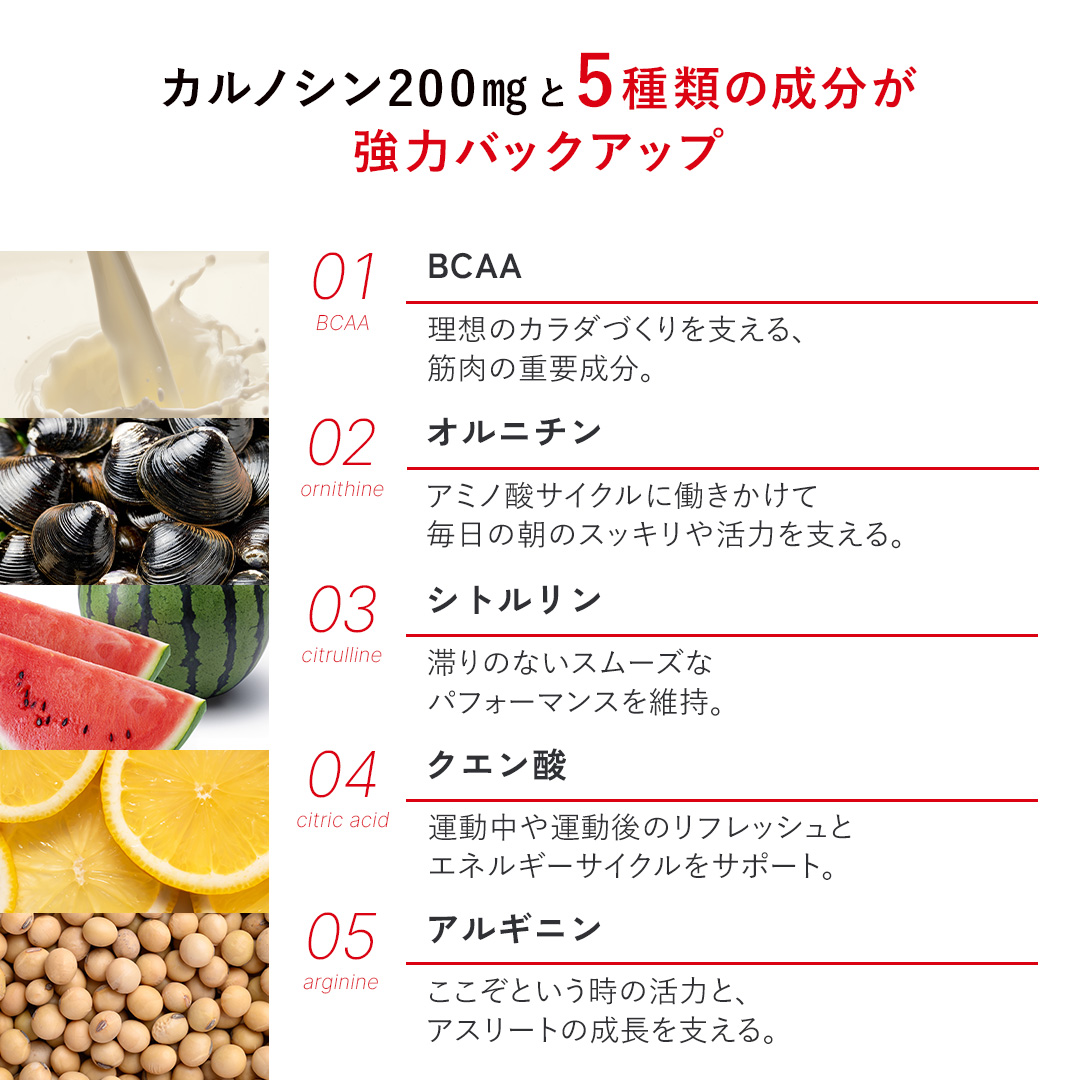 カルノパワーDAILY（120粒・錠剤）