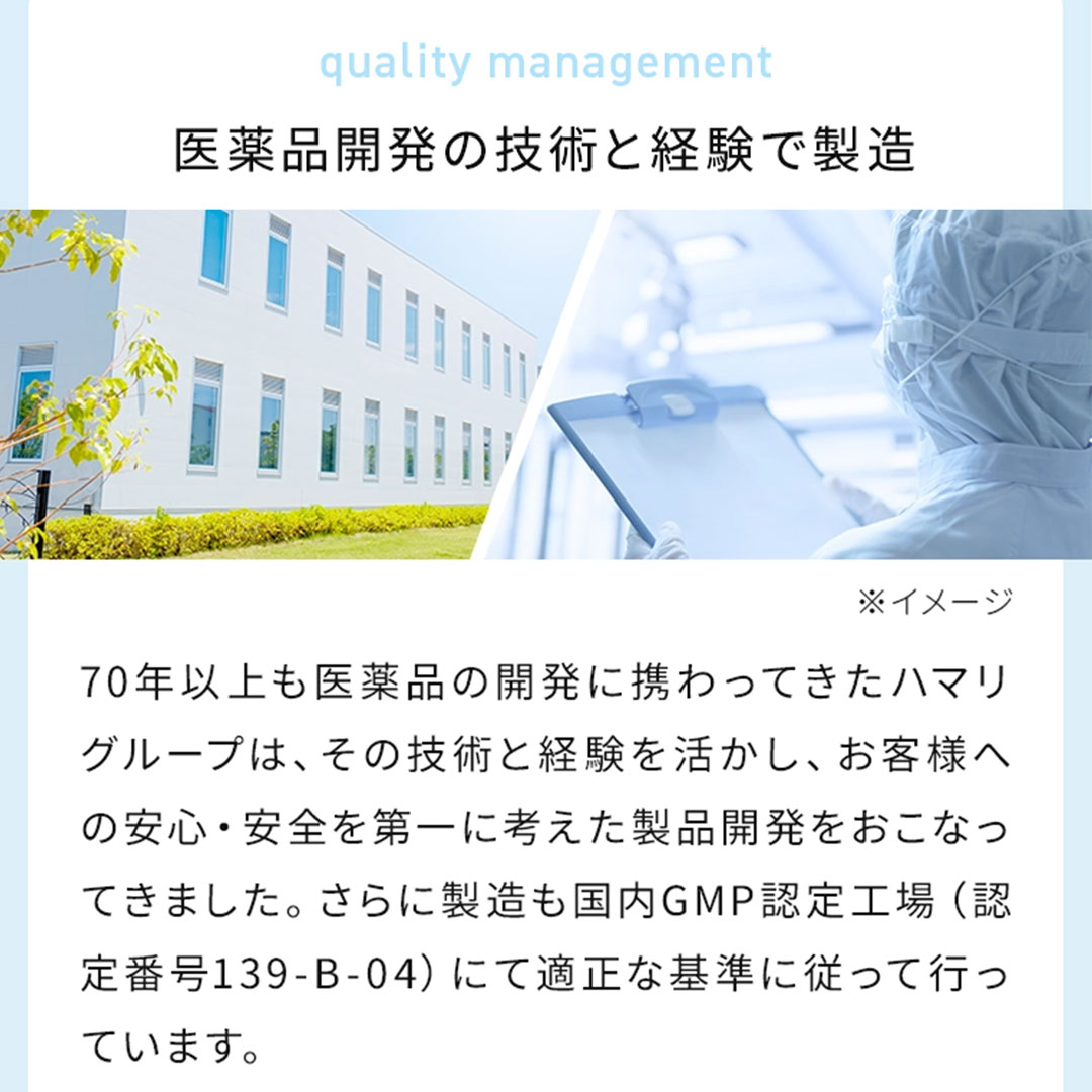 【２袋セット】甜茶α （120粒×2袋）