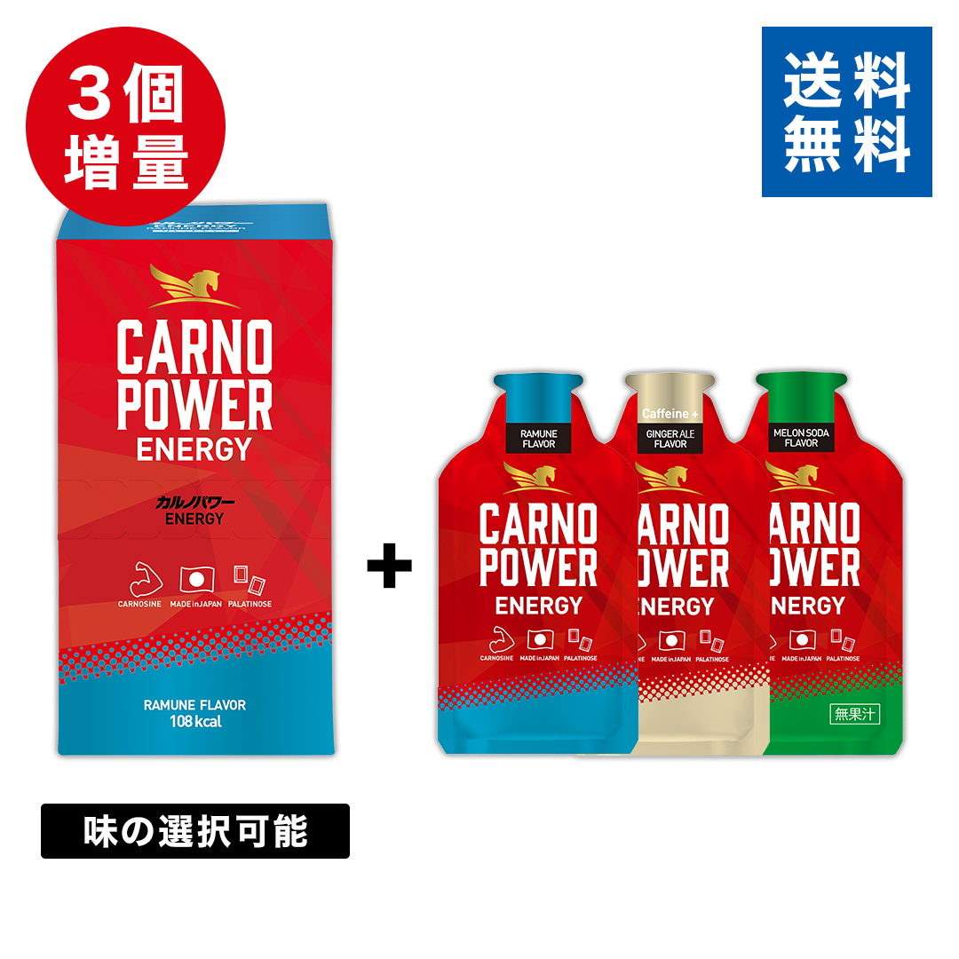【期間限定送料無料】カルノパワーENERGY（10個箱入）
