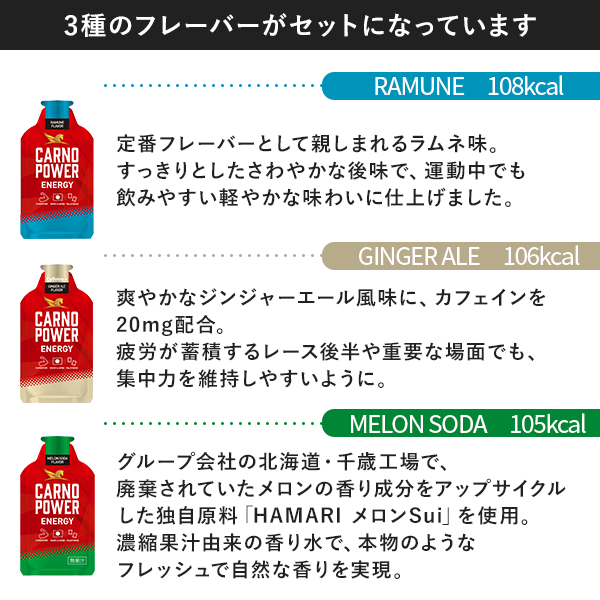 【送料無料】カルノパワーENERGY 3個セット
