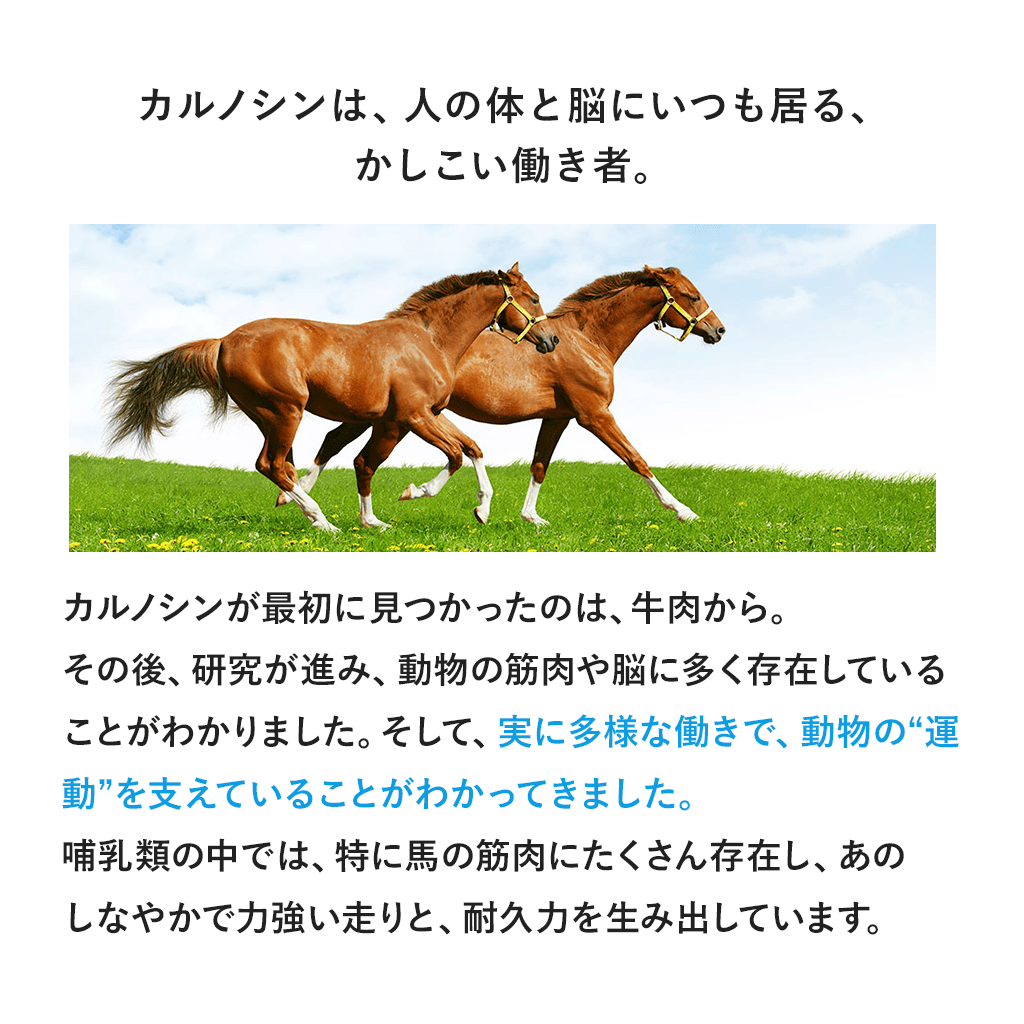 Fremore （30粒）