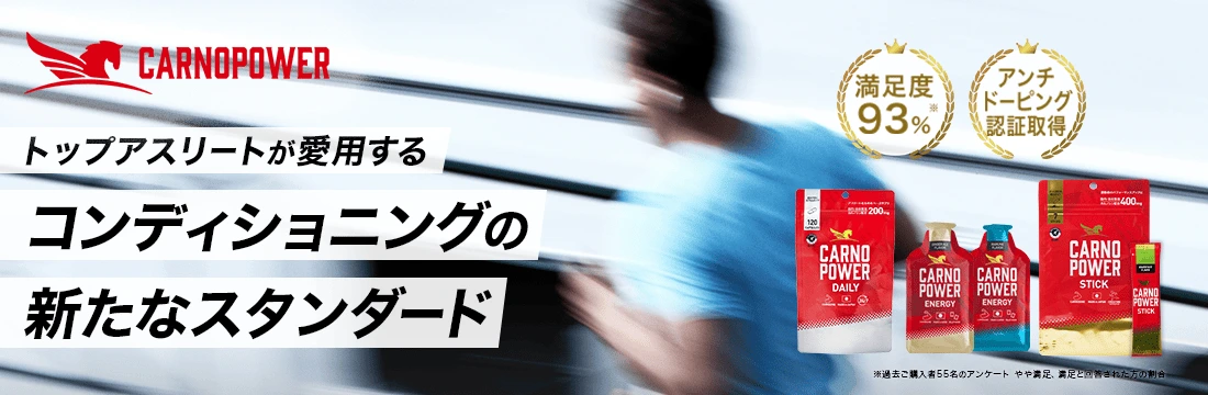 カルノパワーについて詳細はこちら