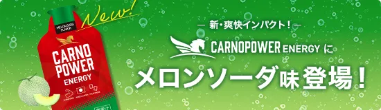 カルノパワーENERGY