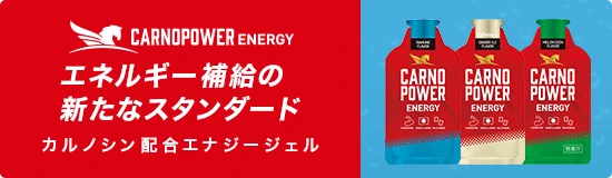 カルノパワーENERGY