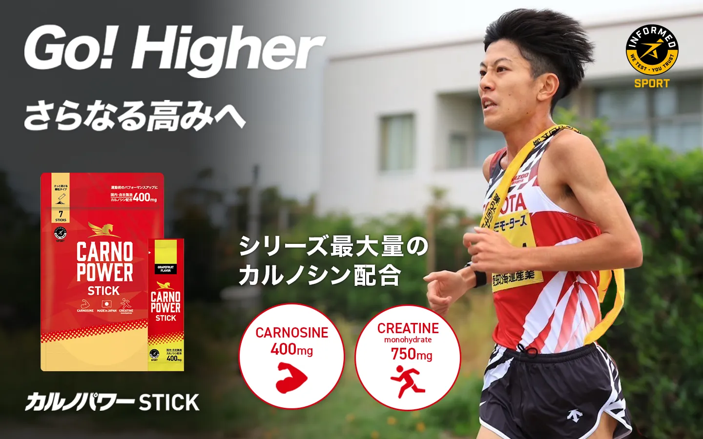 カルノパワーSTICK