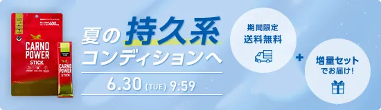カルノパワーSTICK