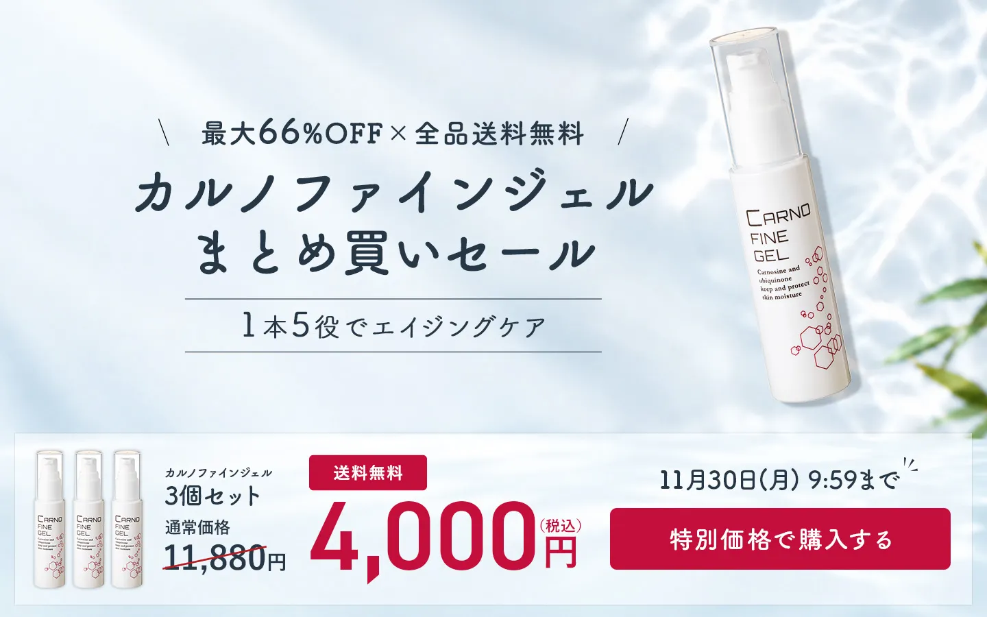 送料無料＆特別価格！カルノシン配合のオールインワン肌ケア「カルノファインジェル」