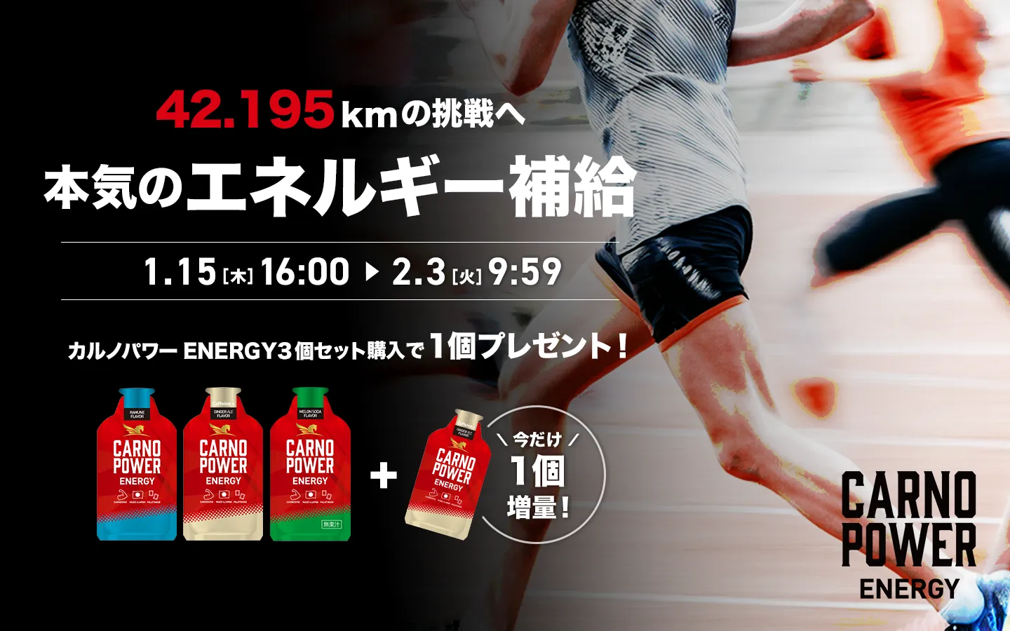 カルノパワーENERGY