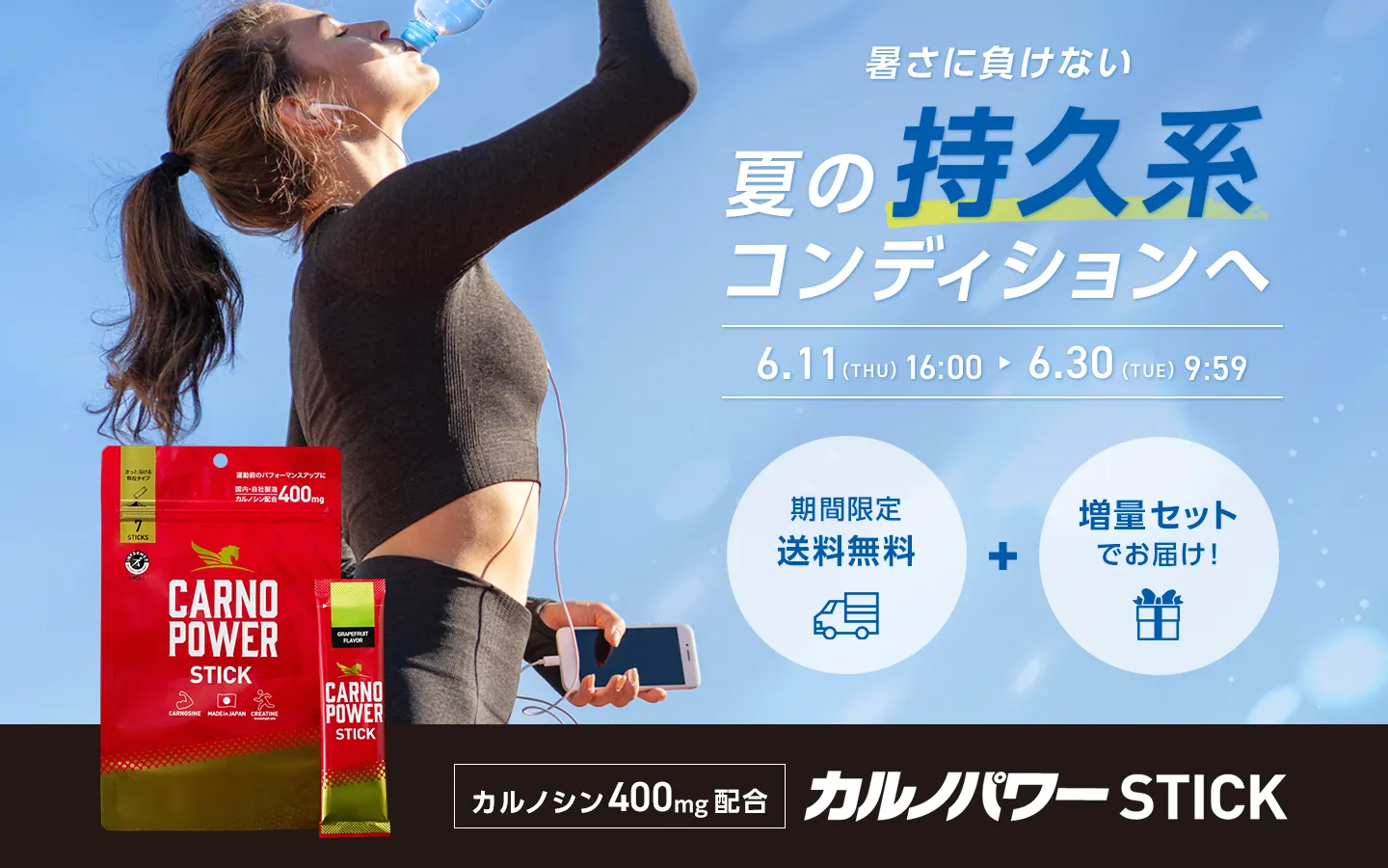 カルノパワーSTICK