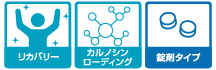 カルノパワー