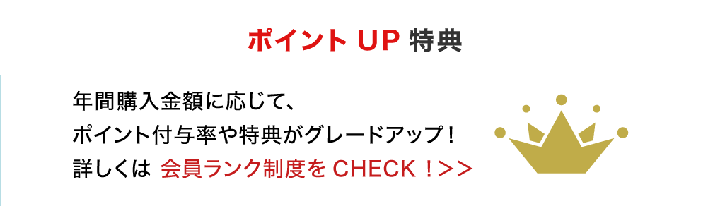 カルノパワーDAILY定期の場合こんなにお得！