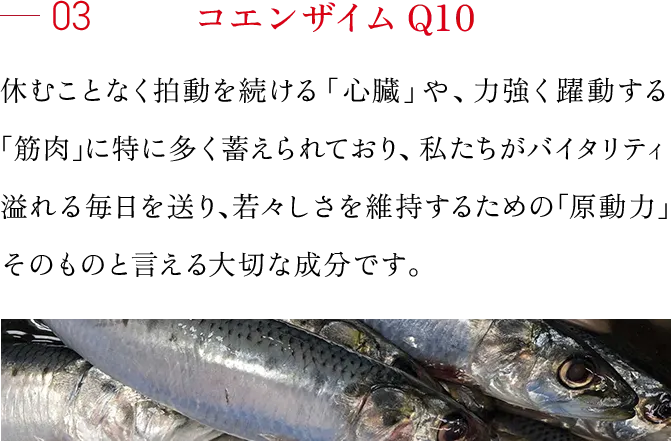 03 コエンザイムQ10 休むことなく拍動を続ける「心臓」や、力強く躍動する「筋肉」に特に多く蓄えられており、たちがバイタリティ溢れる毎日を送り、若々しさを維持するための「原動力」そのものと言える大切な成分です。