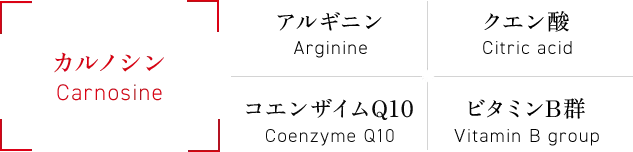 カルノシン・アルギニン・クエン酸・コエンザイムQ10・ビタミンB群