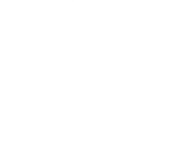 数千キロも大空を飛び続ける渡り鳥。軽やかに、そして力強く野を駆ける馬。動物に備わっている運動・活動時のメンテナンスを司るのが「イミダゾールジペプチド」。ヒトの場合はそのほとんどが「カルノシン」で占められていて、そのマルチな才能で運動・活動によって起こる様々な変化から私たちの体を守ってくれている天然のメンテナンスシステムなのです。