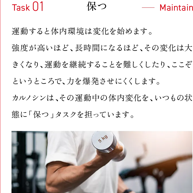 Task01・保つ　運動すると体内環境は変化を始めます。強度が高いほど、長時間になるほど、その変化は大きくなり、運動を継続することを難しくしたり、ここぞというところで、力を爆発させにくくします。カルノシンは、その運動中の体内変化を、いつもの状態に「保つ」タスクを担っています。