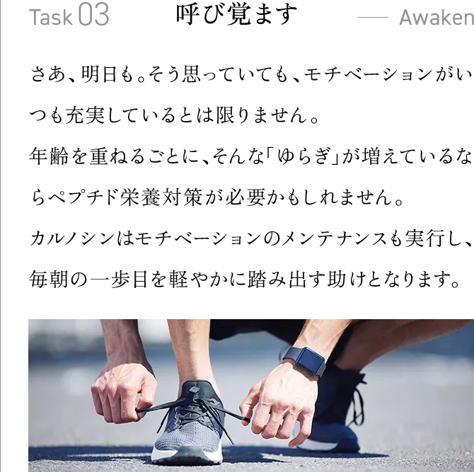Task03・呼び覚ます　さあ、明日も。そう思っていても、モチベーションがいつも充実しているとは限りません。年齢を重ねるごとに、そんな「ゆらぎ」が増えているならペプチド栄養対策が必要かもしれません。カルノシンはモチベーションのメンテナンスも実行し、毎朝の一歩目を軽やかに踏み出す助けとなります。