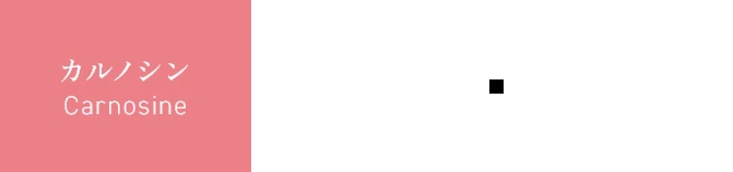 カルノシン・アルギニン・クエン酸・コエンザイムQ10・ビタミンB群