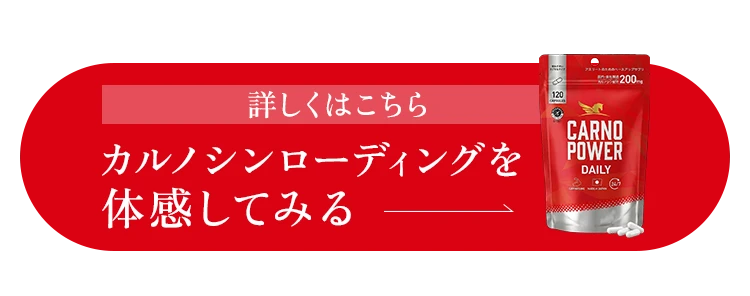 カルノシンローディングを体感してみる