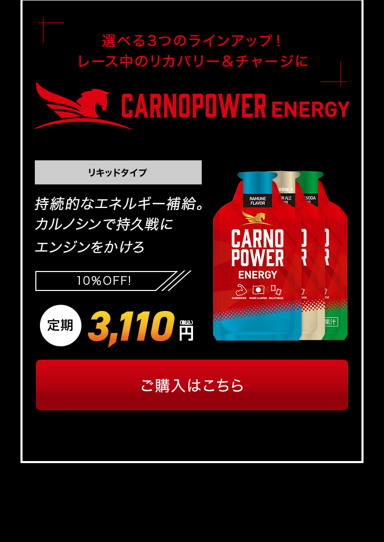 カルノパワ―ENERGY定期10%OFF!