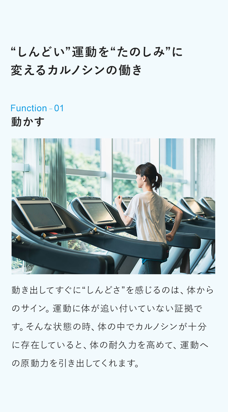 “しんどい”運動を“たのしみ”に変えるカルノシンの働き　1：動かす　動き出してすぐに“しんどさ”を感じるのは、体からのサイン。運動に体が追い付いていない証拠です。そんな状態の時、体の中でカルノシンが十分に存在していると、体の耐久力を高めて、運動への原動力を引き出してくれます。