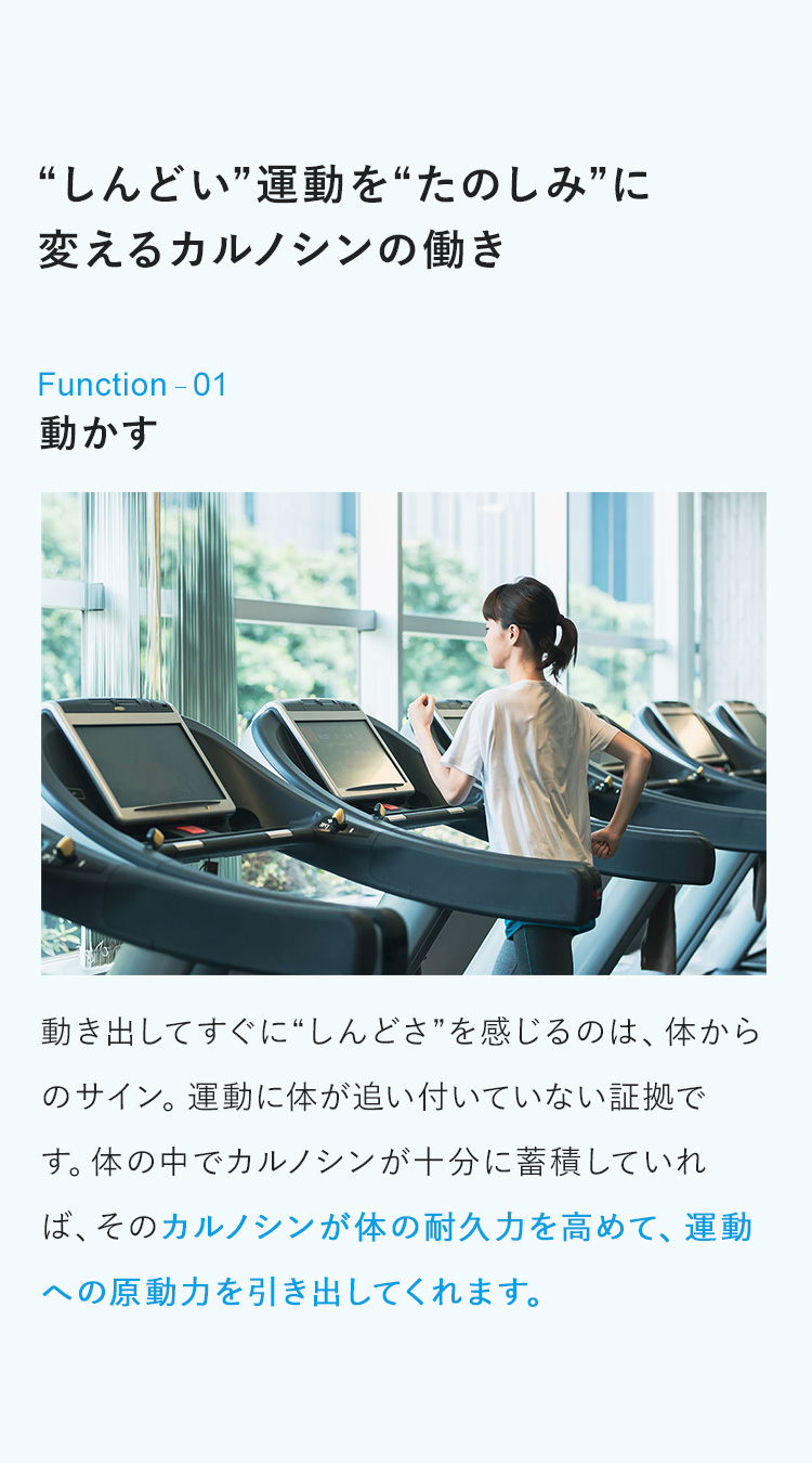 “しんどい”運動を“たのしみ”に変えるカルノシンの働き　1：動かす　動き出してすぐに“しんどさ”を感じるのは、体からのサイン。運動に体が追い付いていない証拠です。そんな状態の時、体の中でカルノシンが十分に存在していると、体の耐久力を高めて、運動への原動力を引き出してくれます。