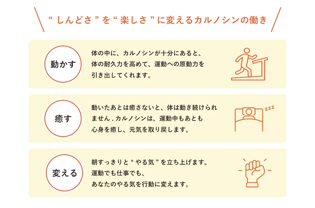 カルノシンを中心に、ミネラル・ビタミン・乳酸菌を含む8種類の栄養素を配合。毎日の運動、健康をサポートします。