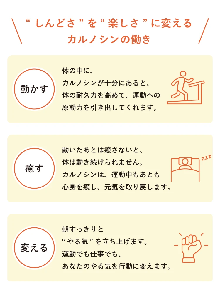 カルノシンを中心に、ミネラル・ビタミン・乳酸菌を含む8種類の栄養素を配合。毎日の運動、健康をサポートします。